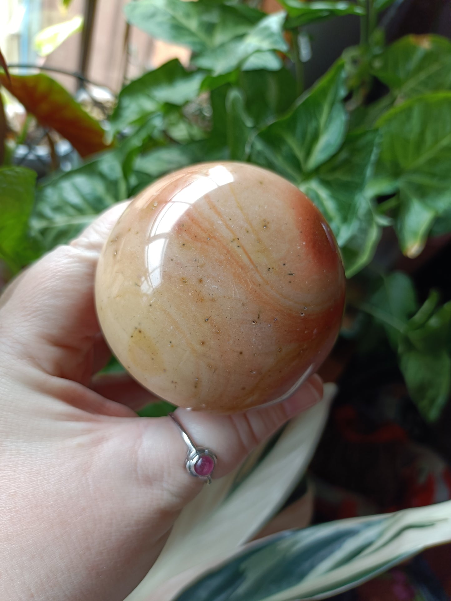 Ocean Jasper Mushroom - 646g