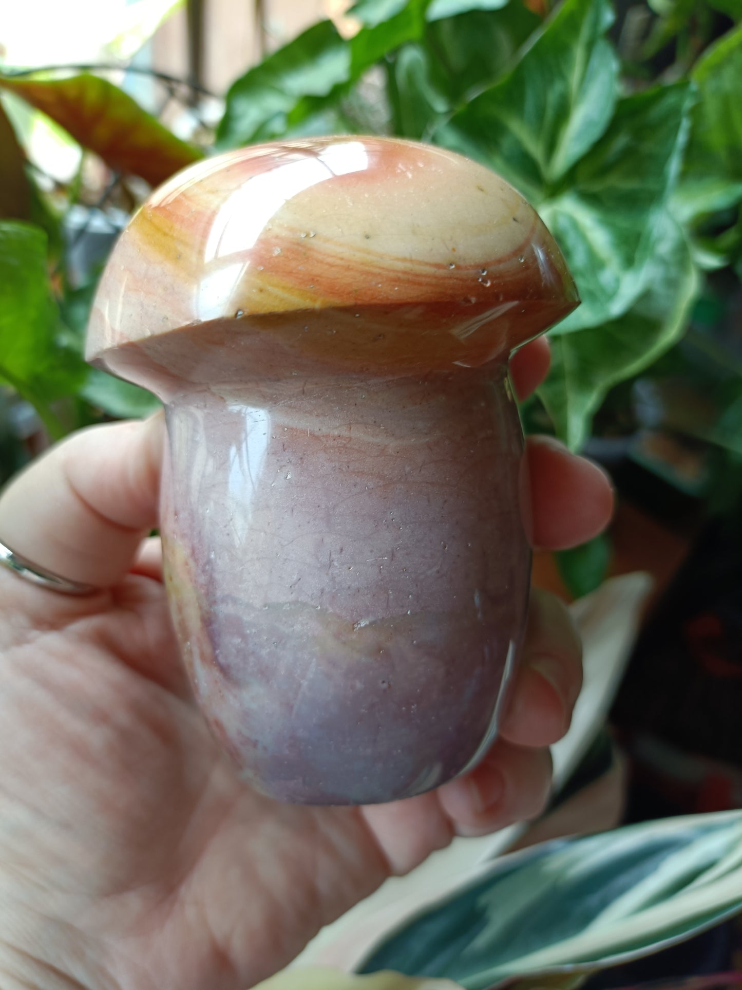 Ocean Jasper Mushroom - 646g