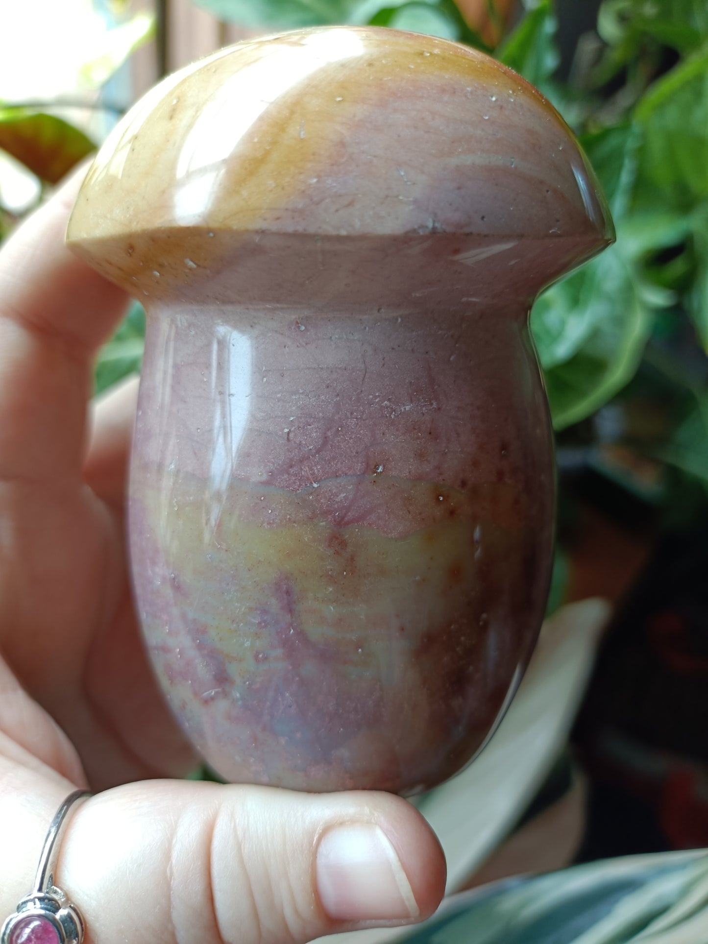Ocean Jasper Mushroom - 646g