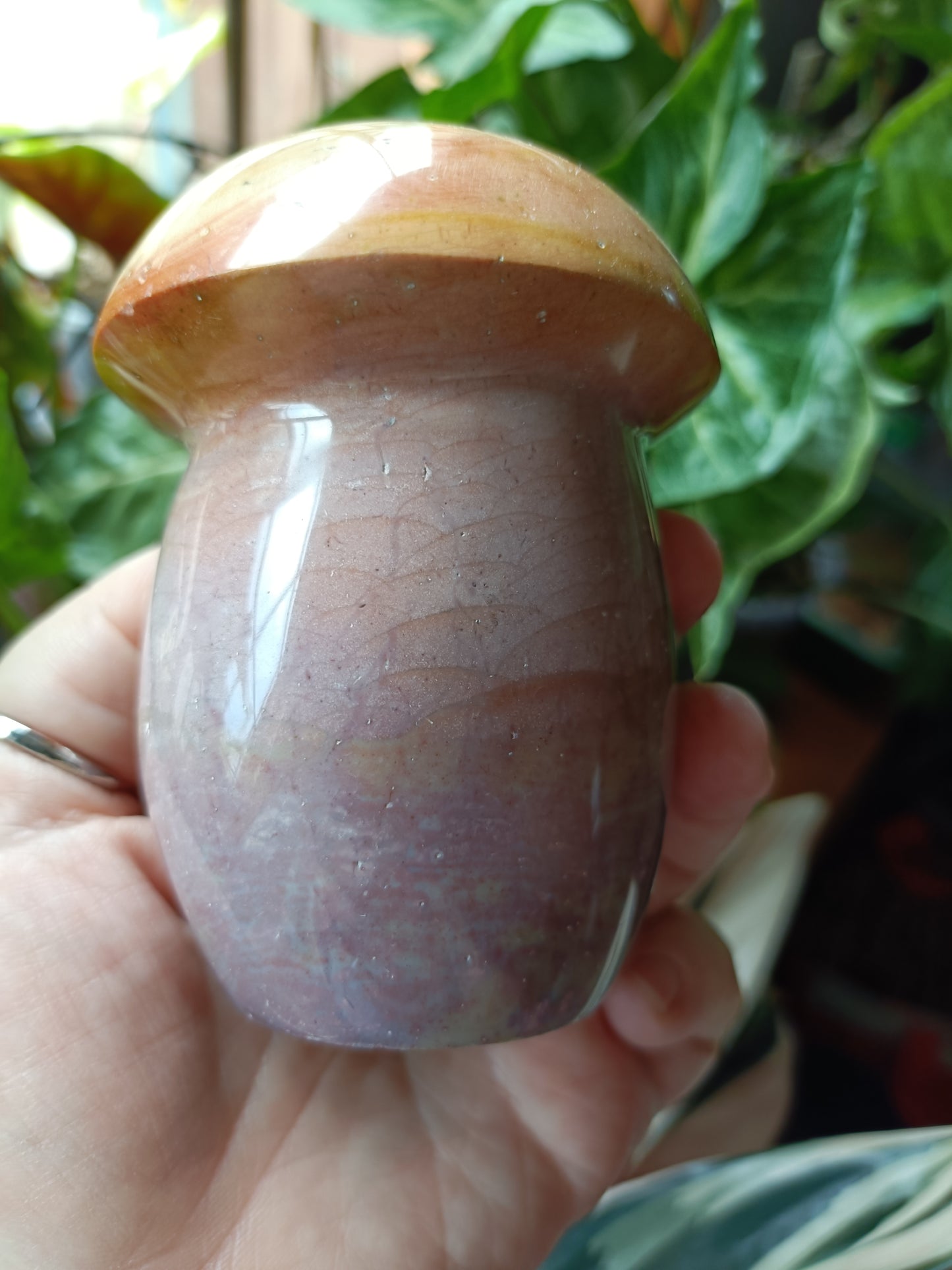 Ocean Jasper Mushroom - 646g