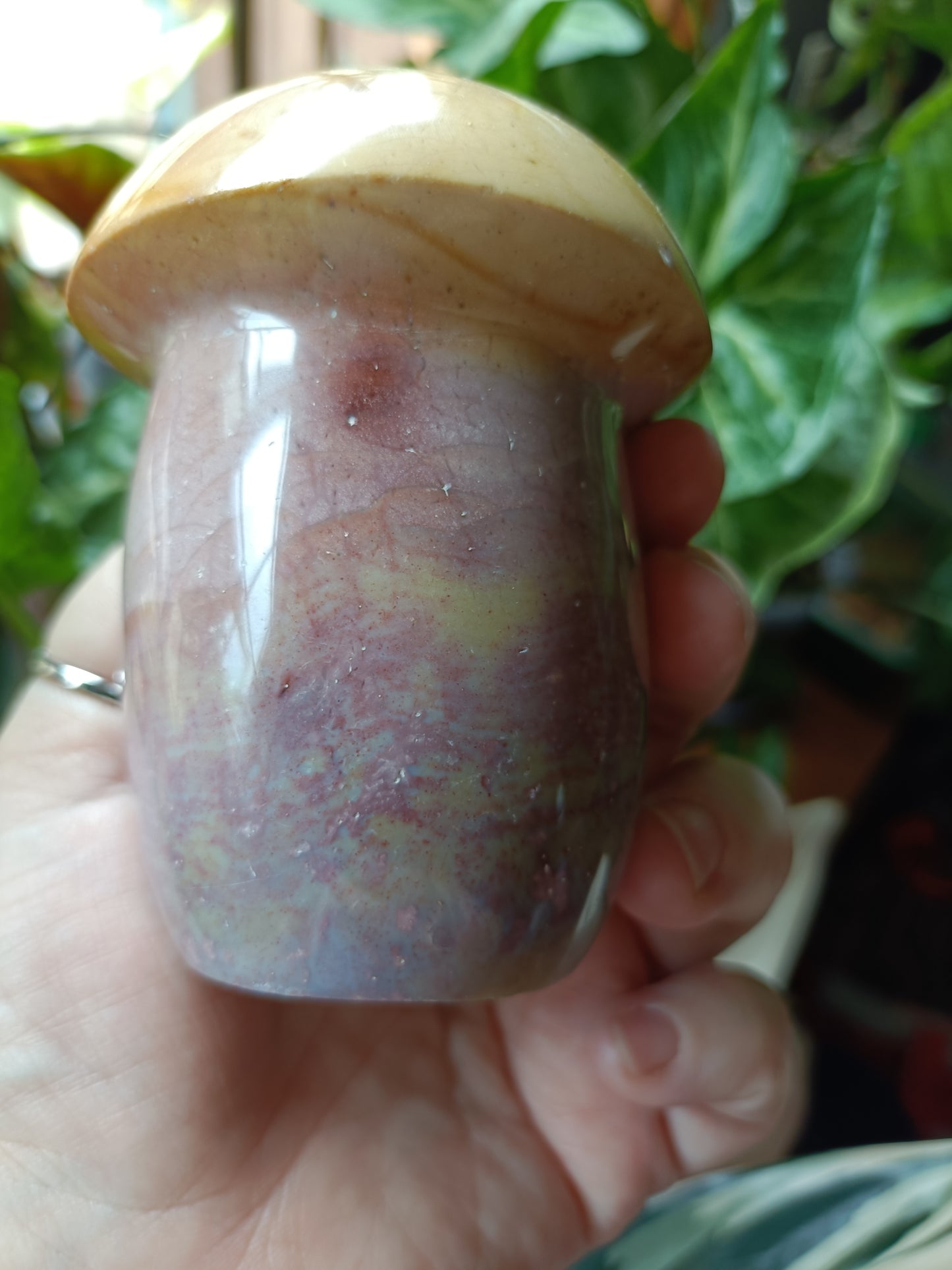 Ocean Jasper Mushroom - 646g