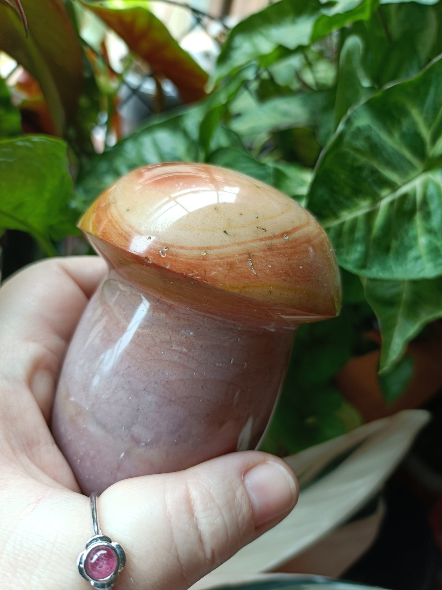 Ocean Jasper Mushroom - 646g