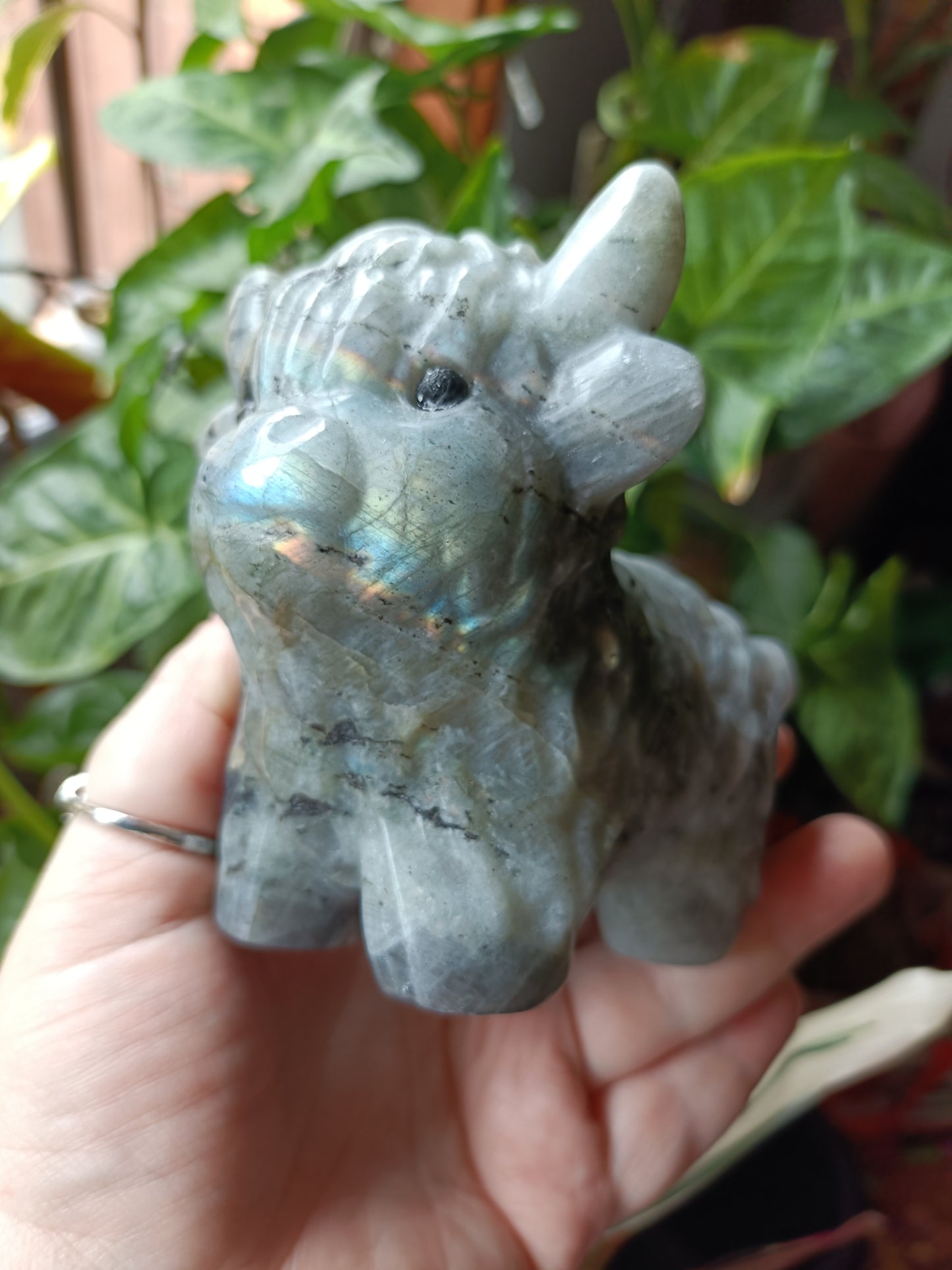 Labradorite Highland Cow Carving - 922g