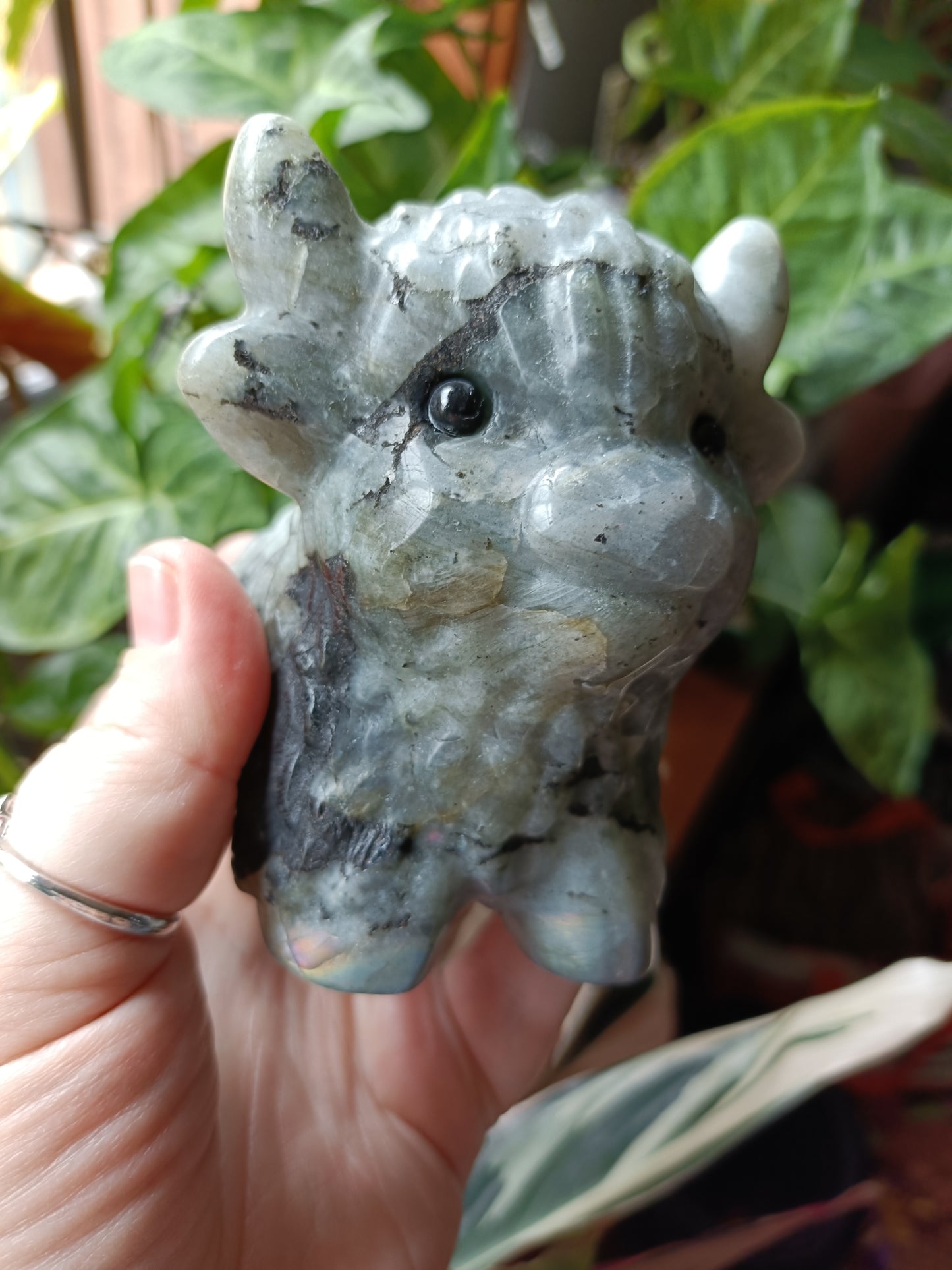 Labradorite Highland Cow Carving - 922g
