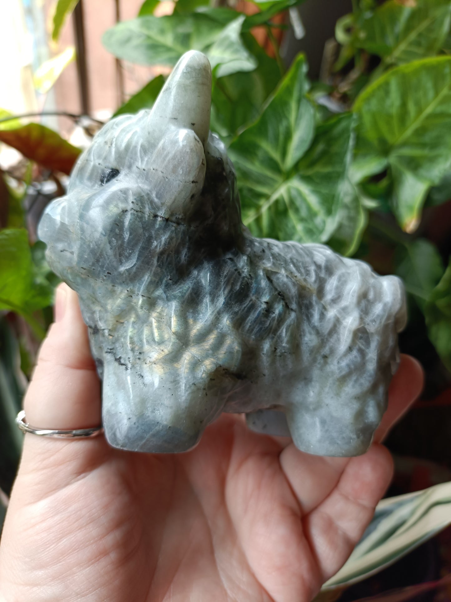 Labradorite Highland Cow Carving - 922g