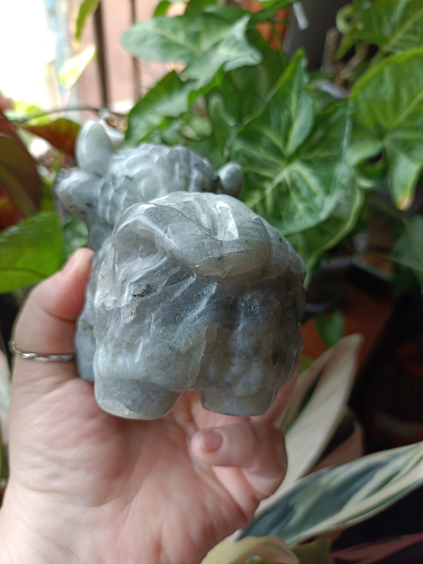 Labradorite Highland Cow Carving - 922g