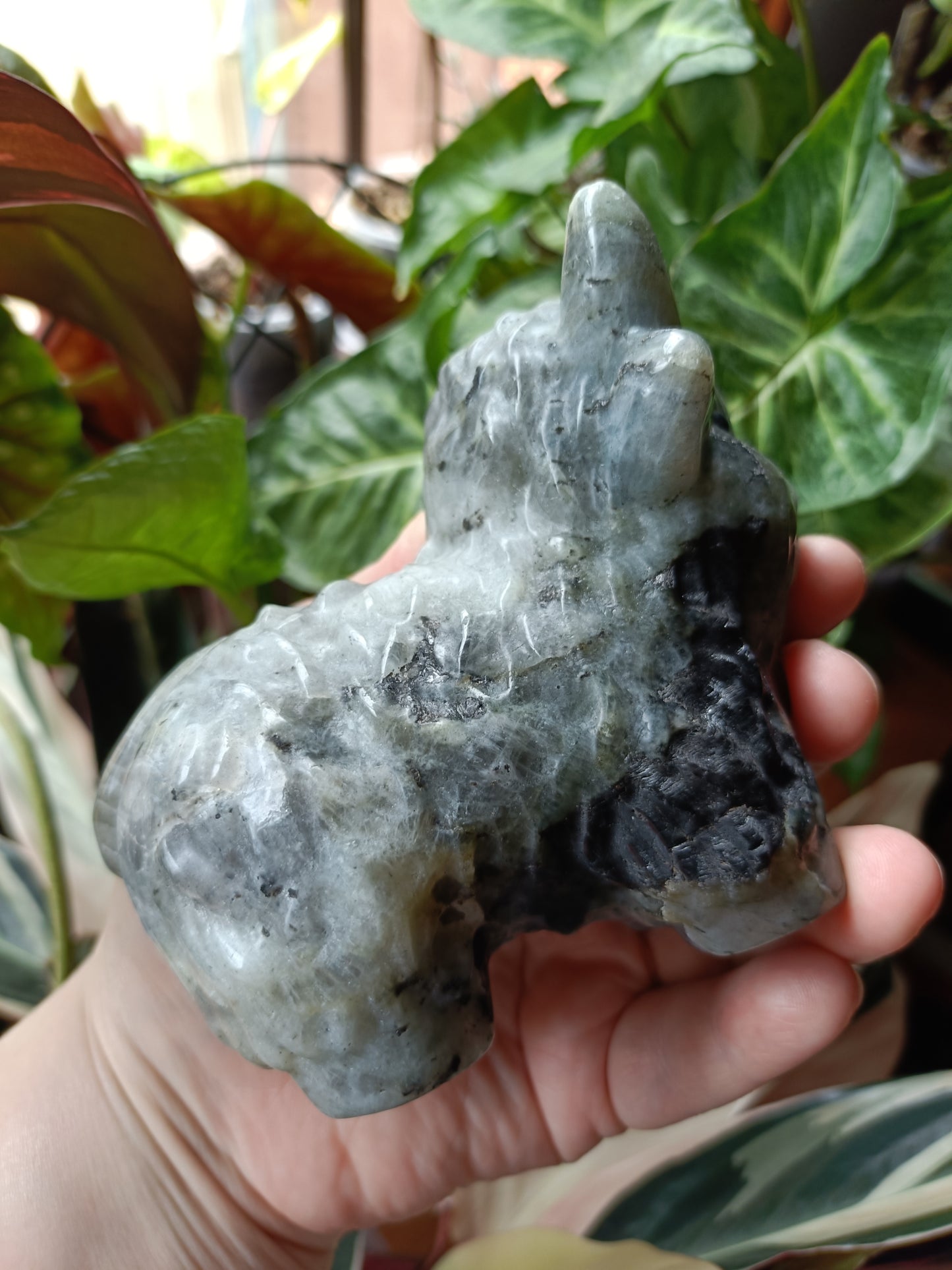 Labradorite Highland Cow Carving - 922g