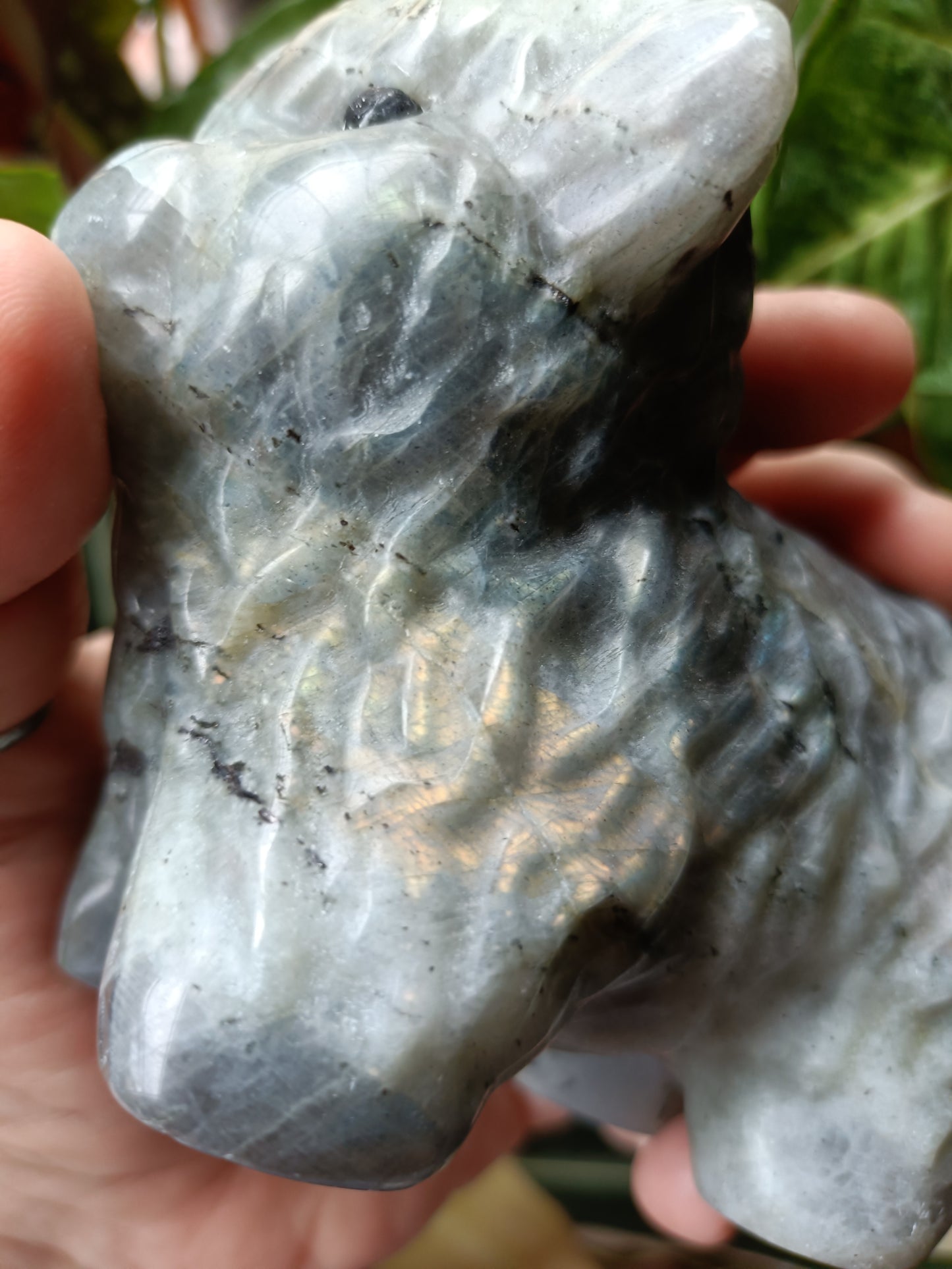 Labradorite Highland Cow Carving - 922g