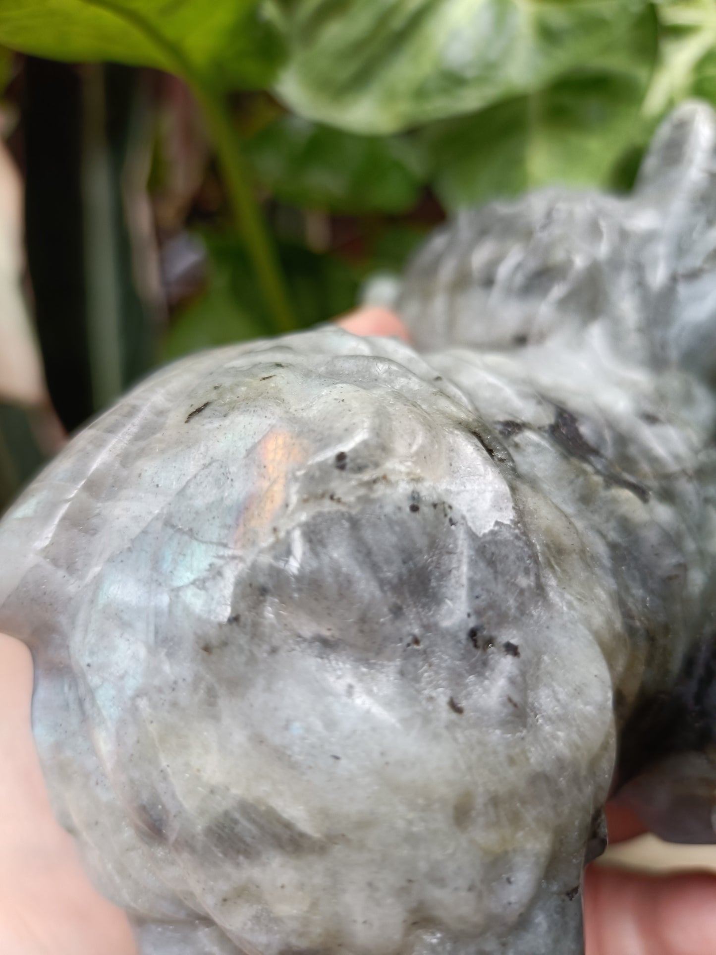 Labradorite Highland Cow Carving - 922g