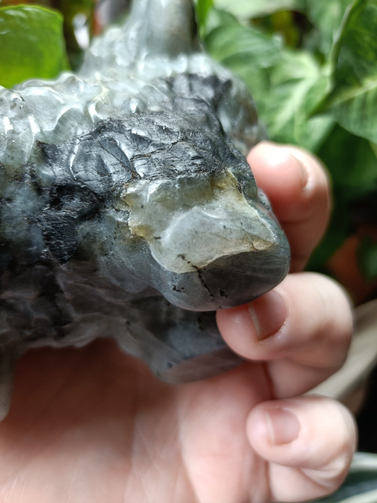 Labradorite Highland Cow Carving - 922g