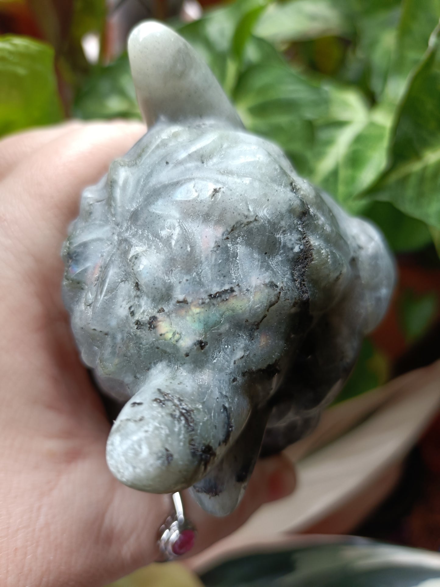 Labradorite Highland Cow Carving - 922g