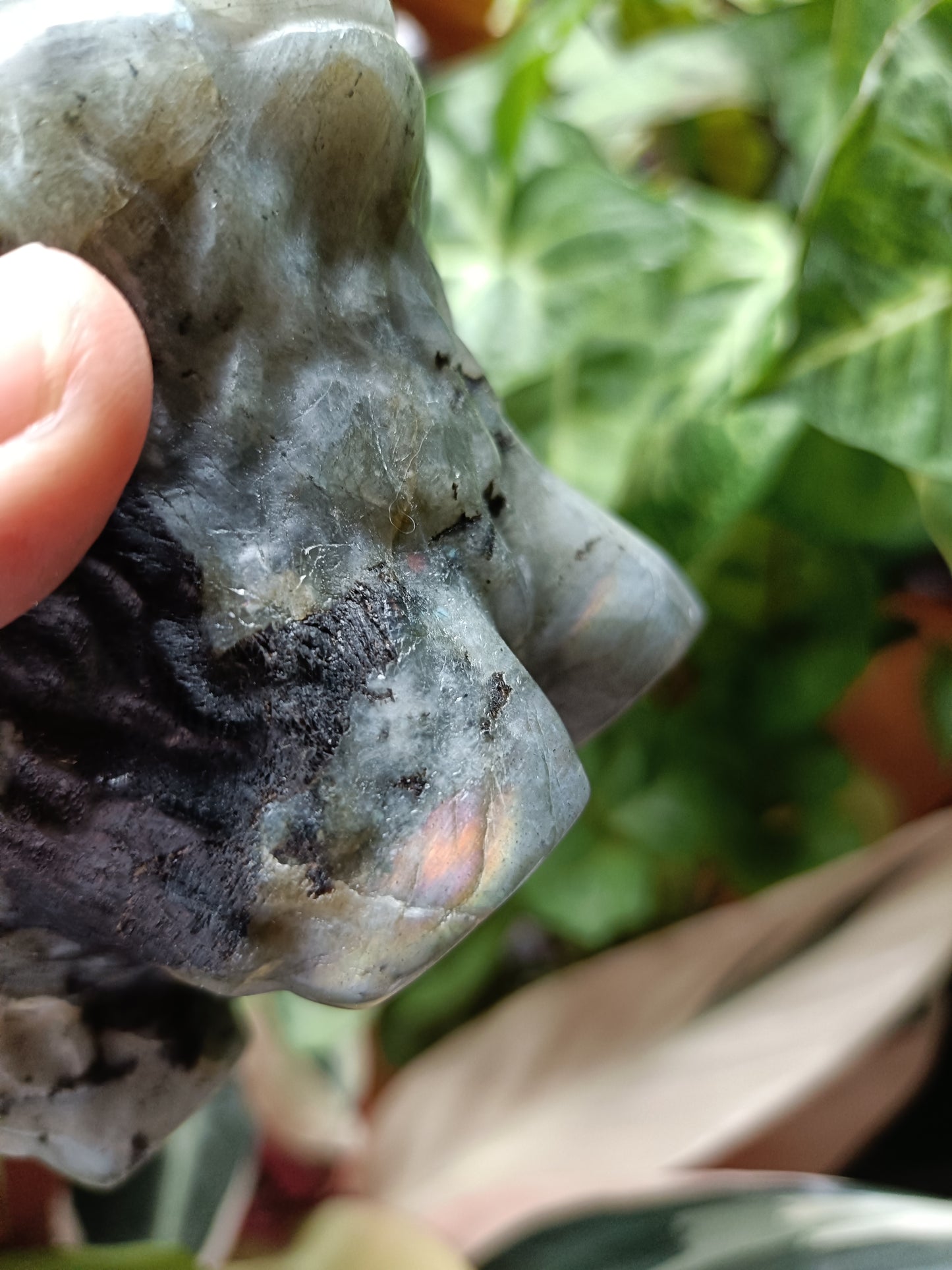 Labradorite Highland Cow Carving - 922g