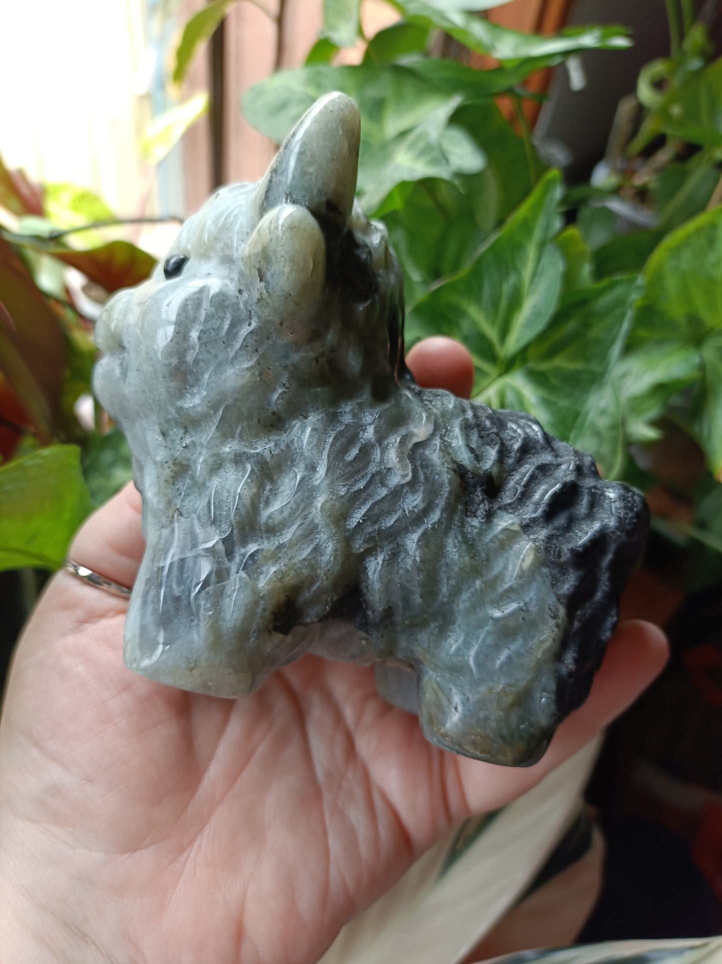 Labradorite Highland Cow Carving - 998g