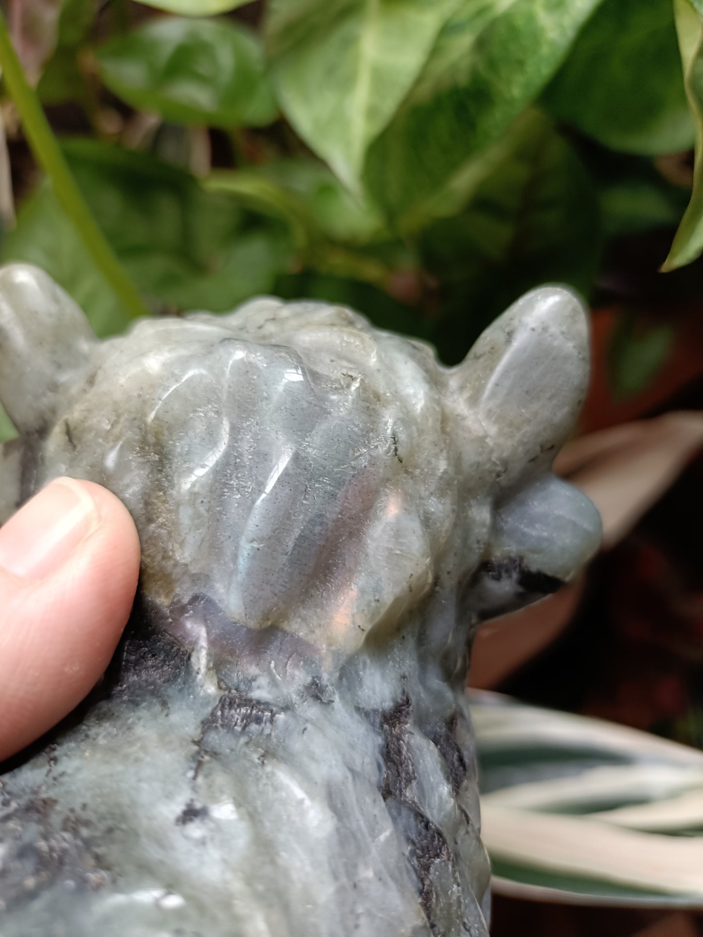 Labradorite Highland Cow Carving - 998g