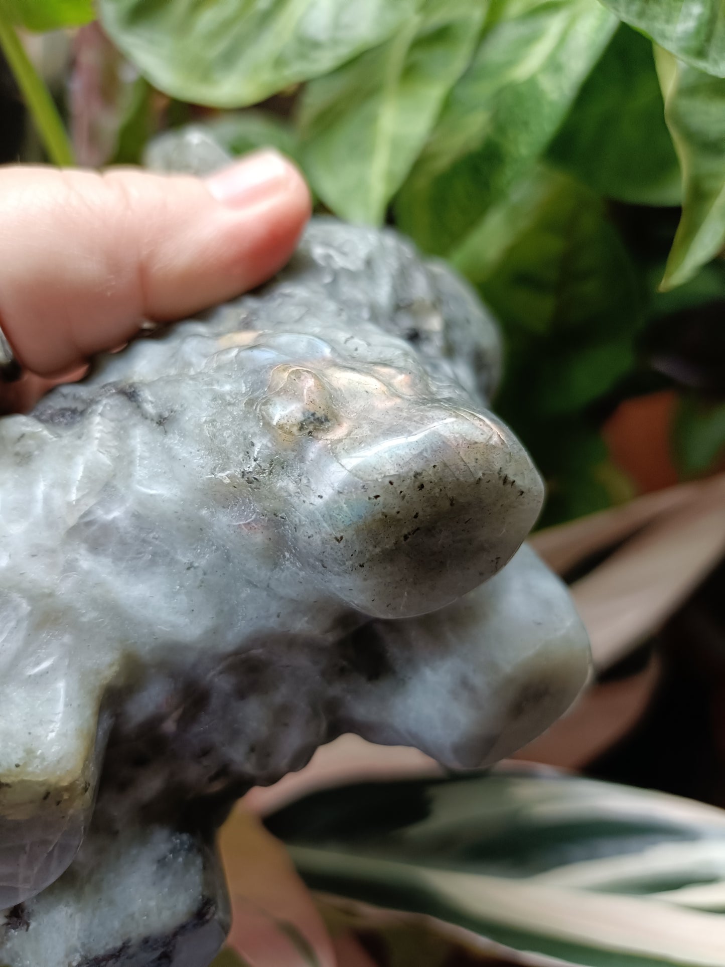 Labradorite Highland Cow Carving - 998g