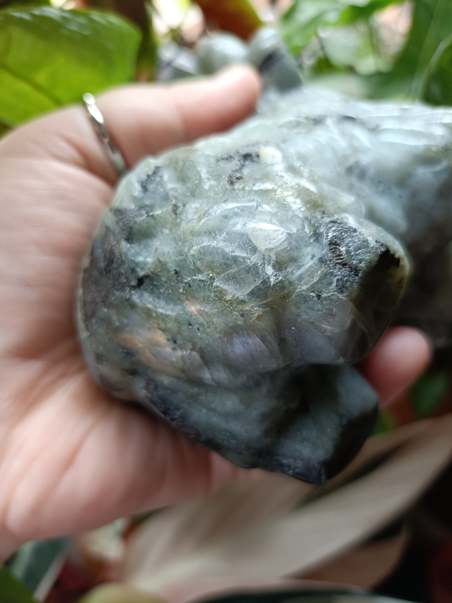 Labradorite Highland Cow Carving - 998g