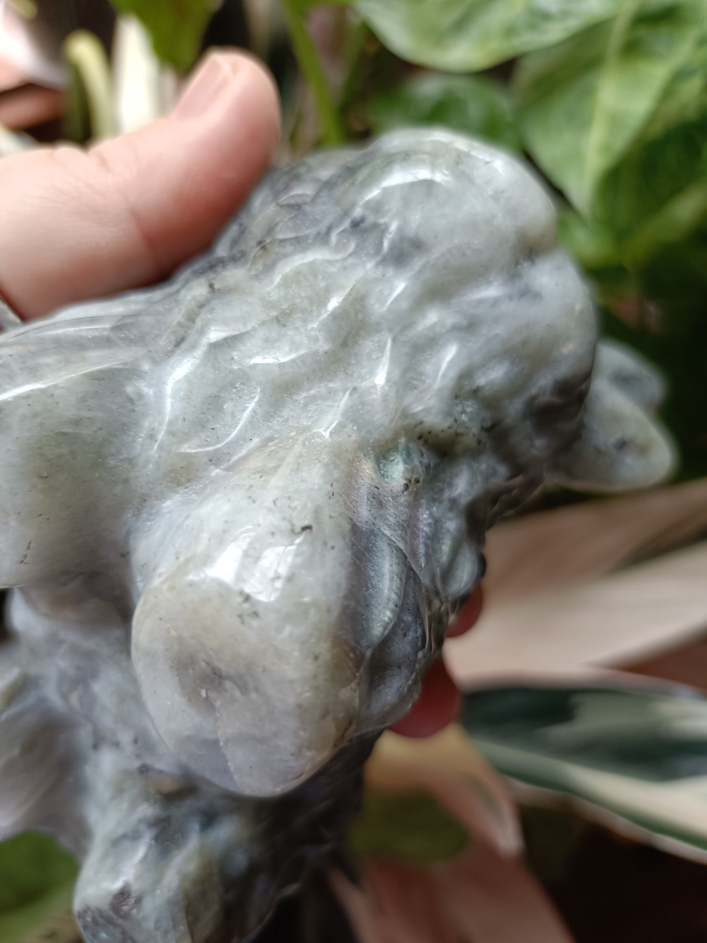 Labradorite Highland Cow Carving - 998g