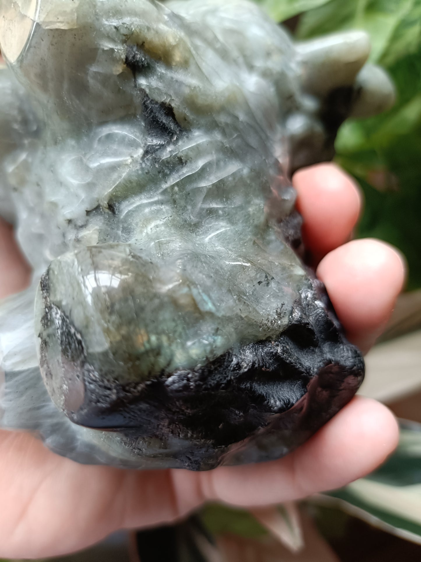Labradorite Highland Cow Carving - 998g