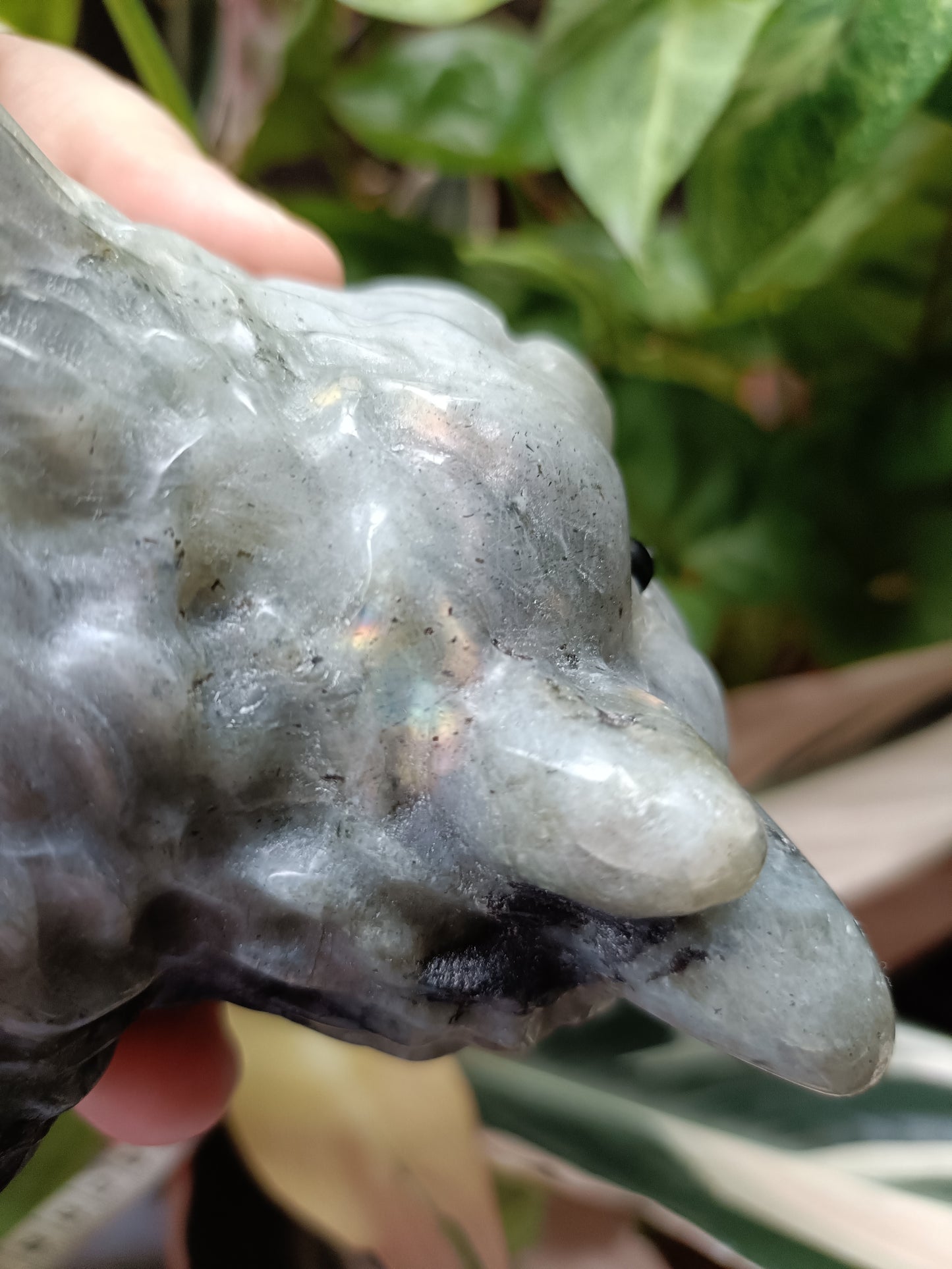 Labradorite Highland Cow Carving - 998g