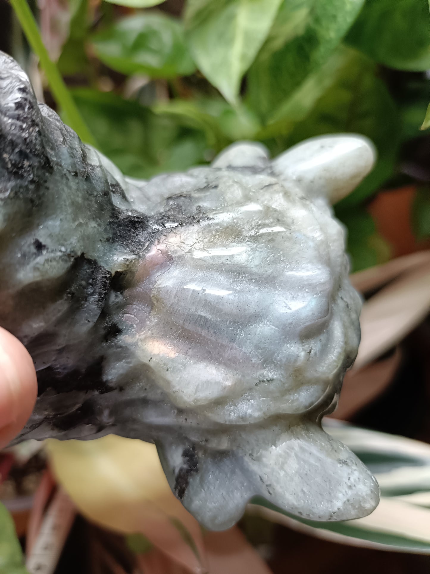 Labradorite Highland Cow Carving - 998g
