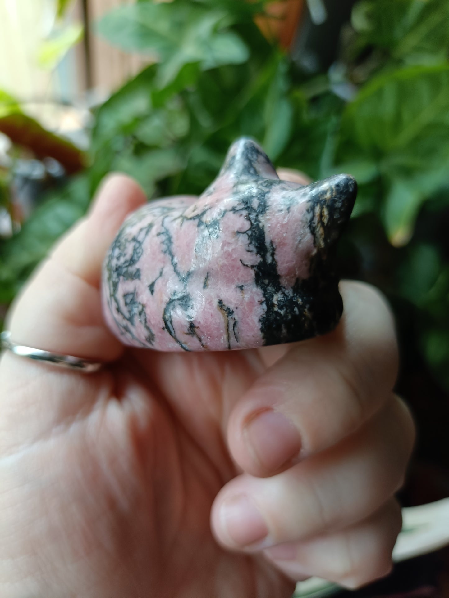 Rhodonite Sleeping Cat Carving - 152g