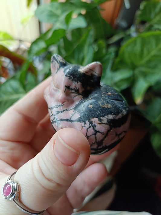 Rhodonite Sleeping Cat Carving - 170g