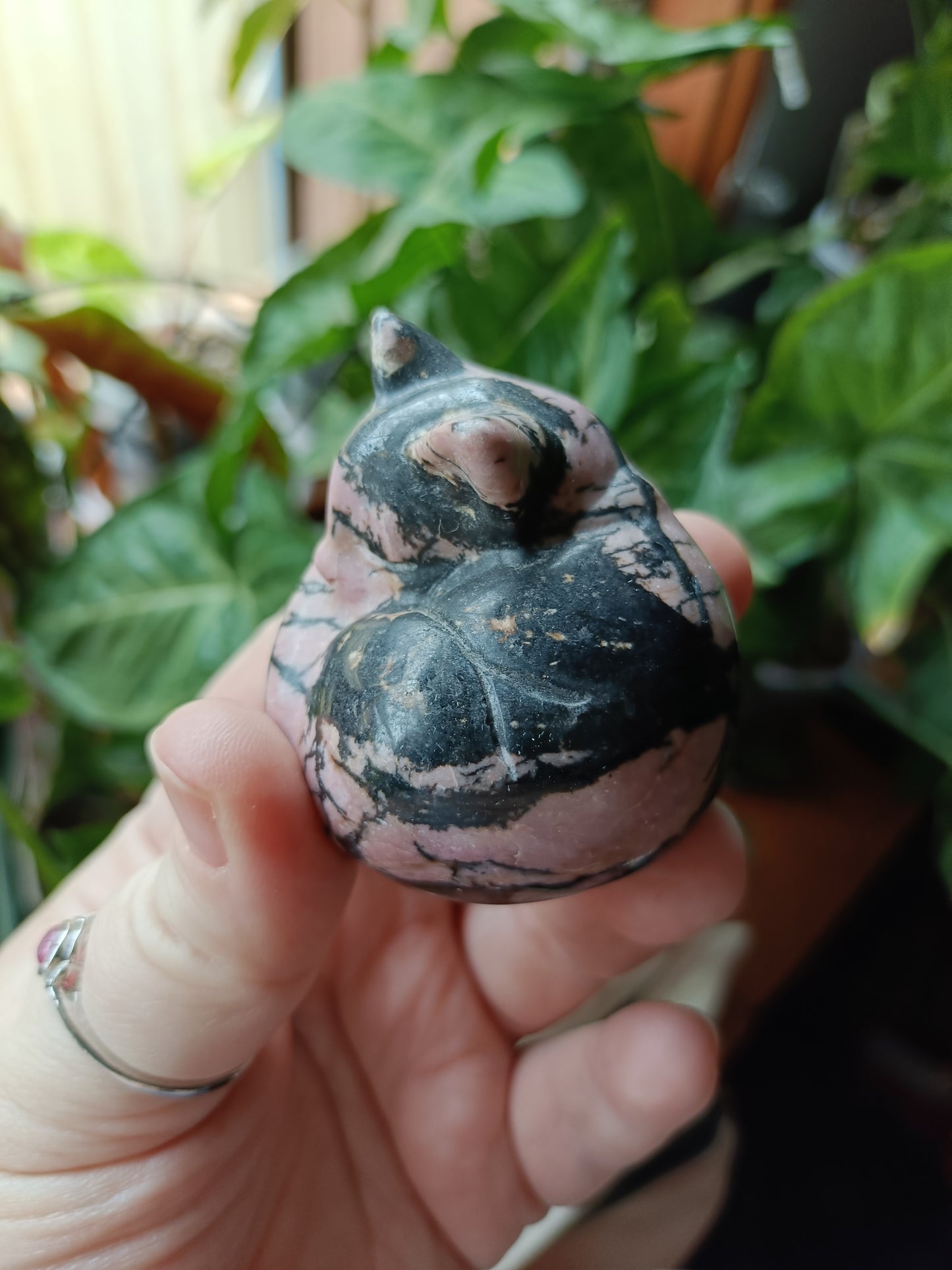 Rhodonite Sleeping Cat Carving - 170g