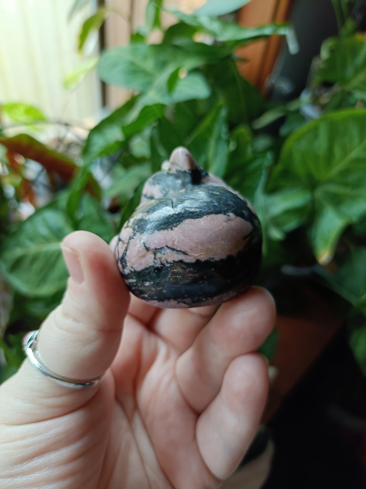 Rhodonite Sleeping Cat Carving - 170g