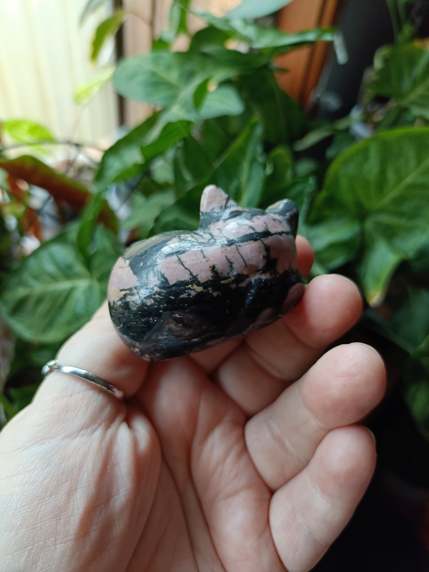 Rhodonite Sleeping Cat Carving - 170g
