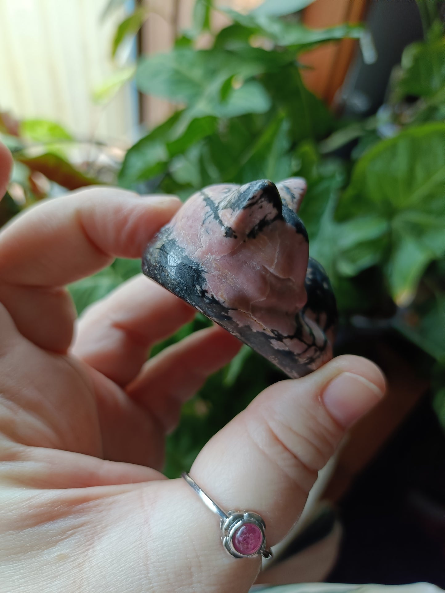 Rhodonite Sleeping Cat Carving - 170g