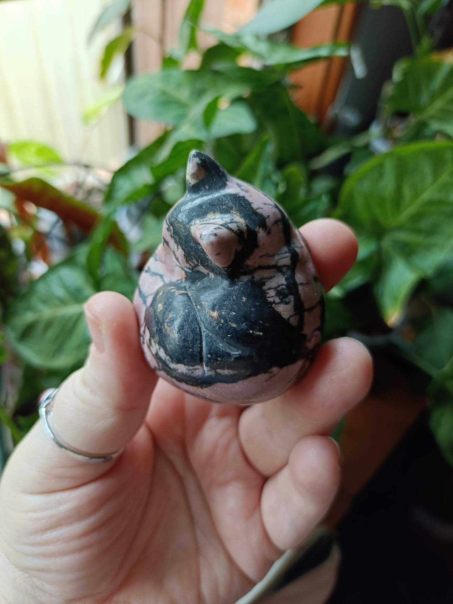 Rhodonite Sleeping Cat Carving - 170g