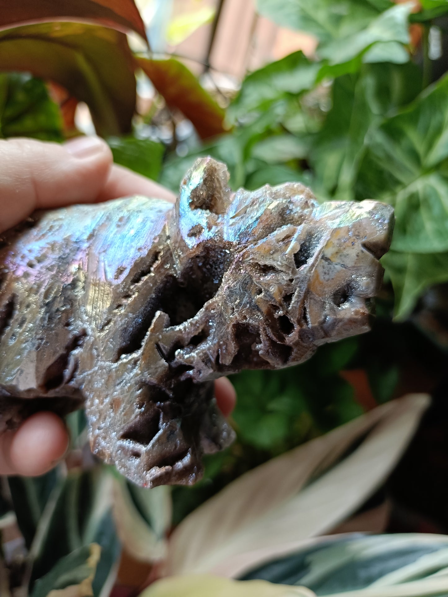 Aura Coated Brecciated Quartz Chalcedony Bear - 402g