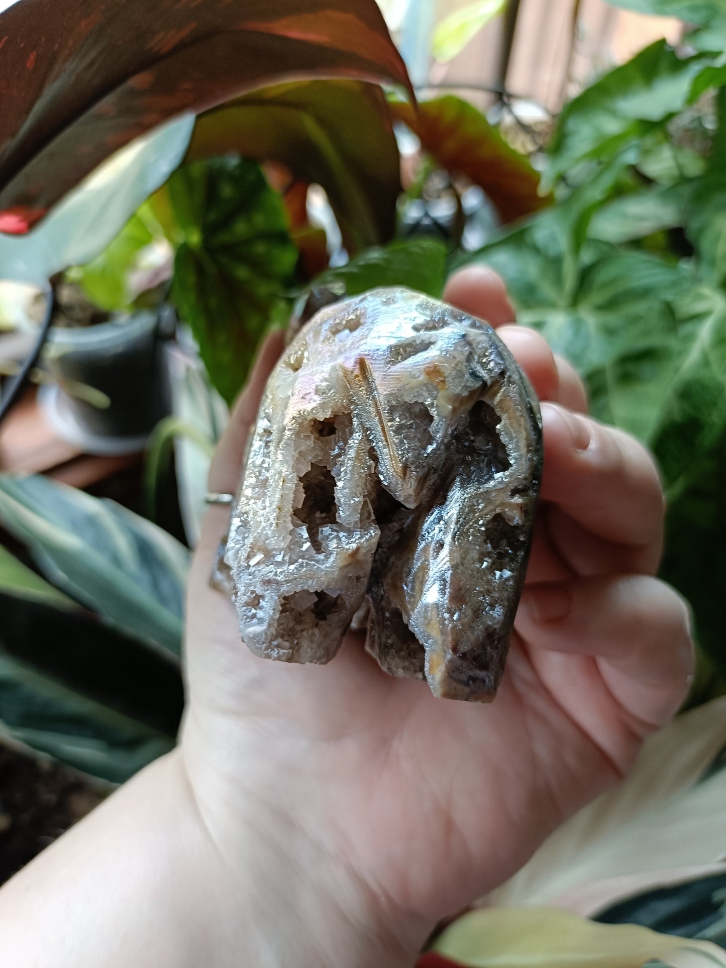 Aura Coated Brecciated Quartz Chalcedony Bear - 402g