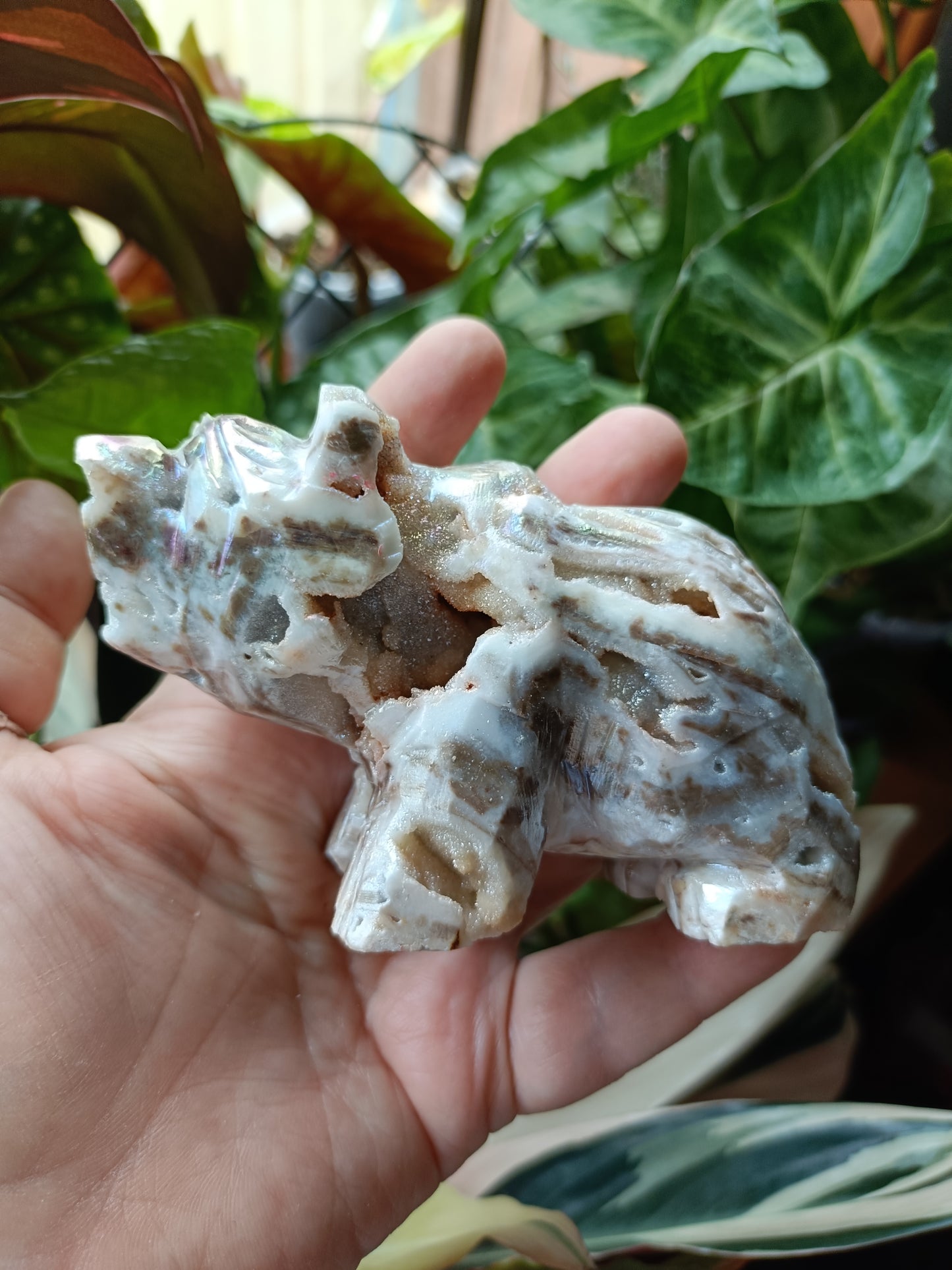 Aura Coated Brecciated Quartz Chalcedony Bear - 356g