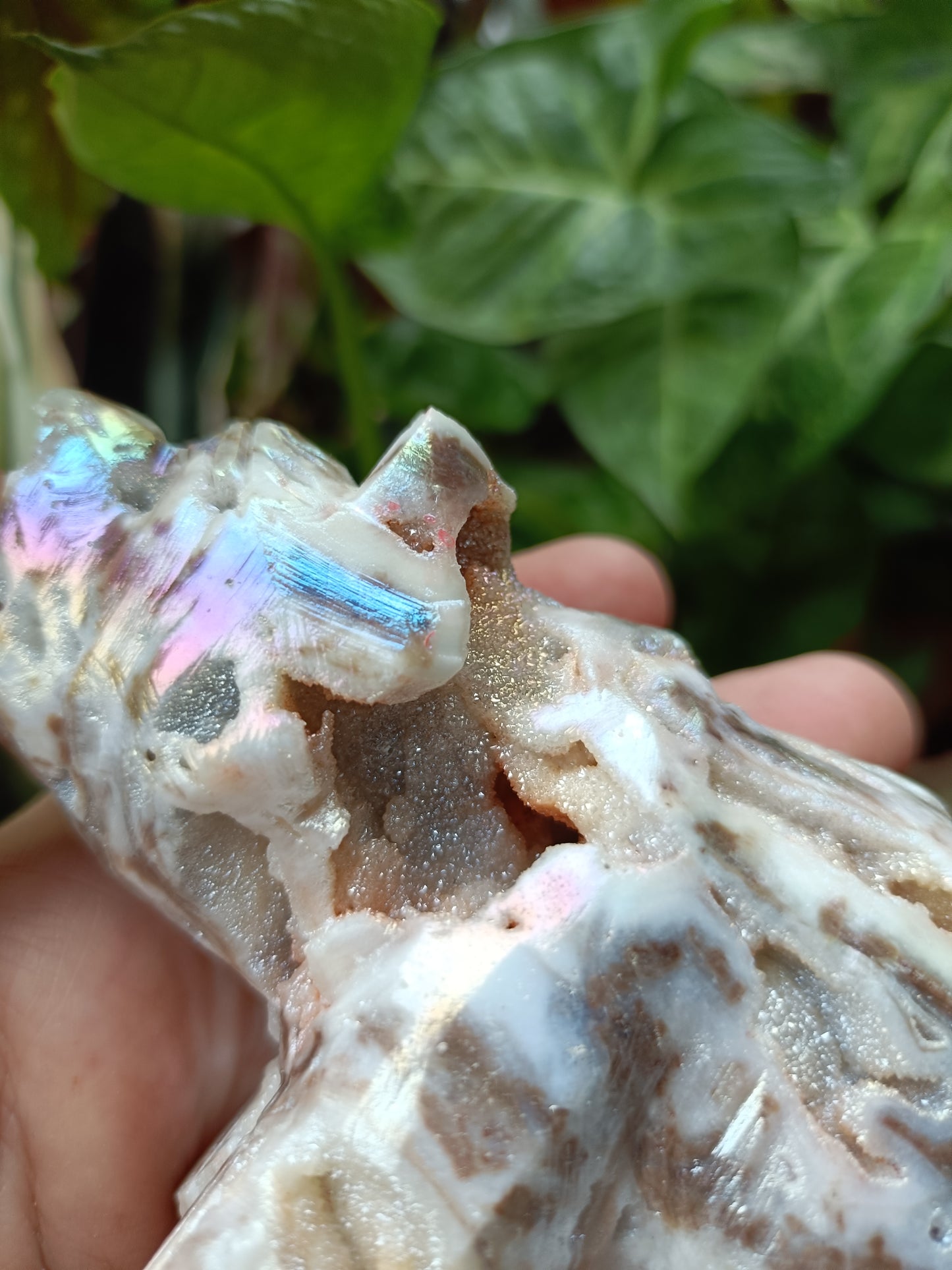 Aura Coated Brecciated Quartz Chalcedony Bear - 356g