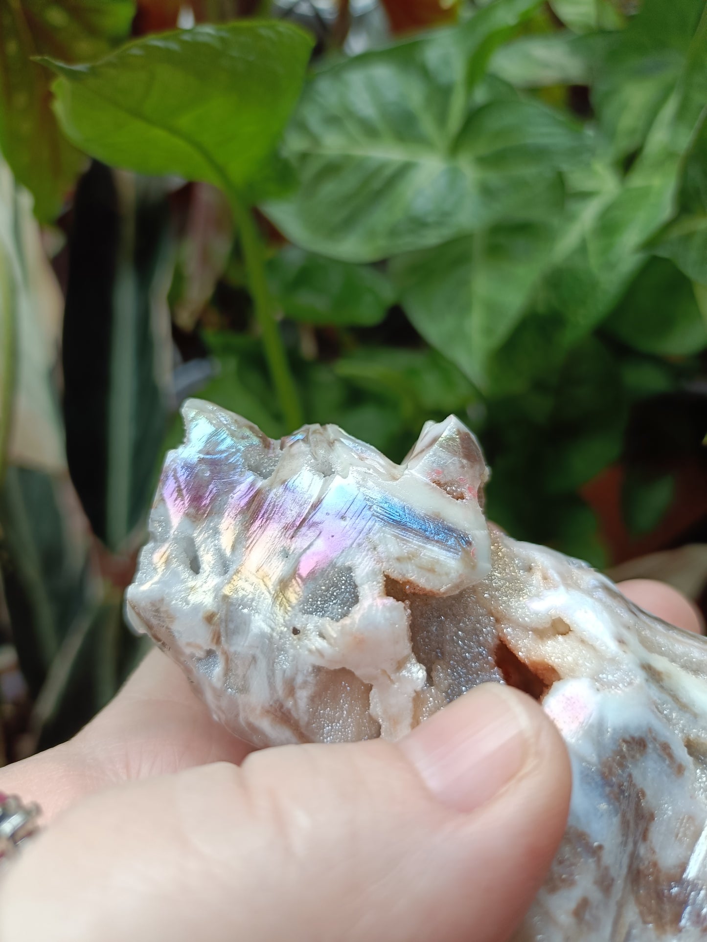 Aura Coated Brecciated Quartz Chalcedony Bear - 356g