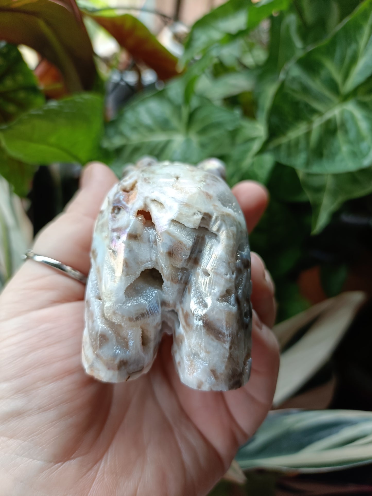 Aura Coated Brecciated Quartz Chalcedony Bear - 356g