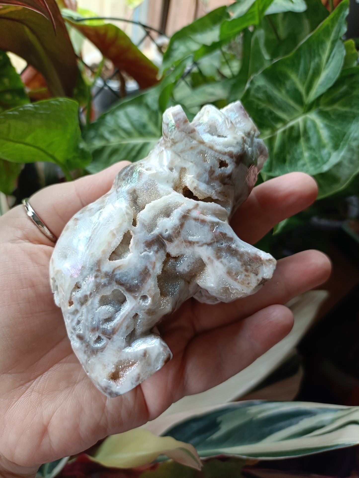 Aura Coated Brecciated Quartz Chalcedony Bear - 356g