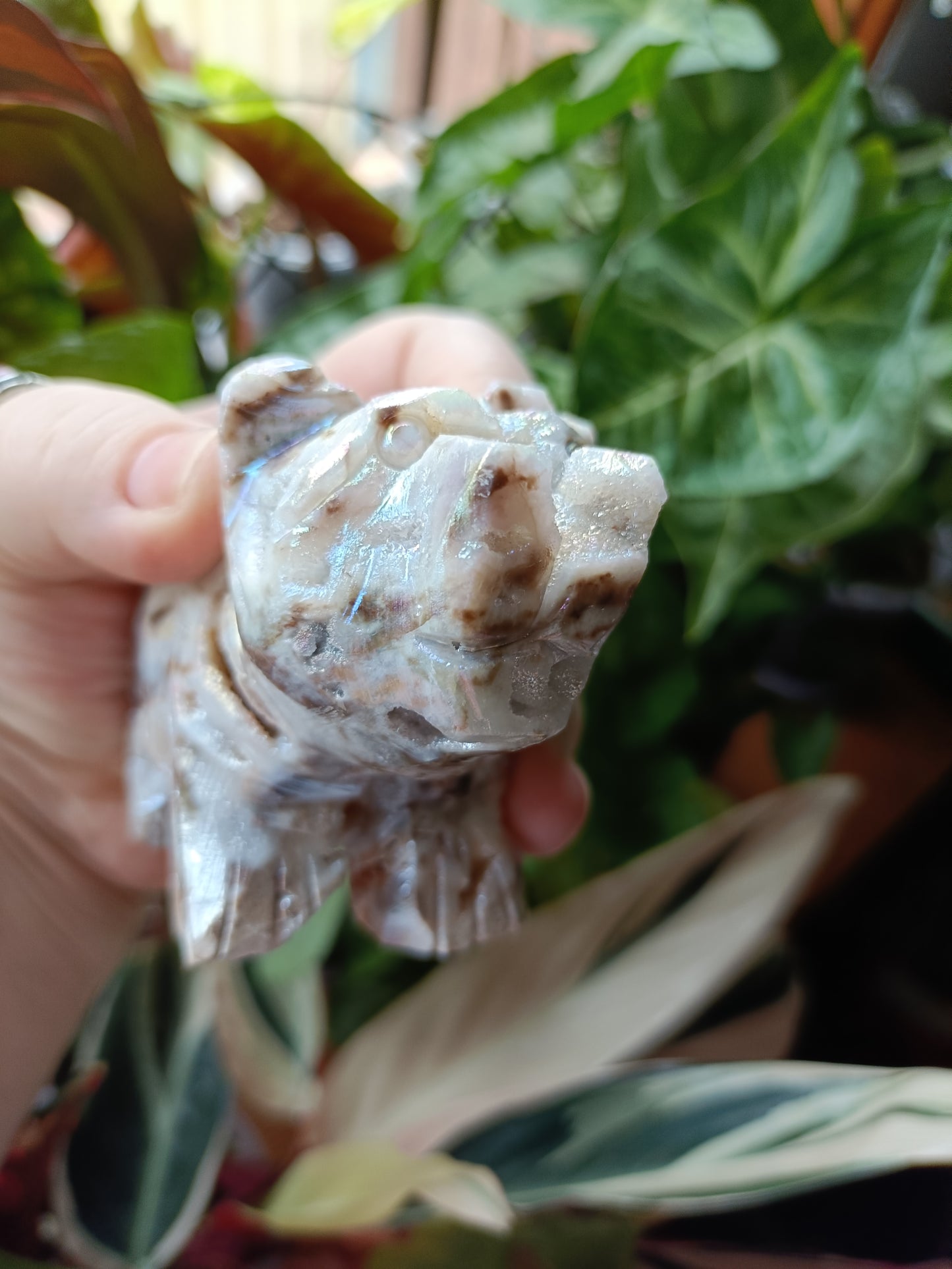 Aura Coated Brecciated Quartz Chalcedony Bear - 356g