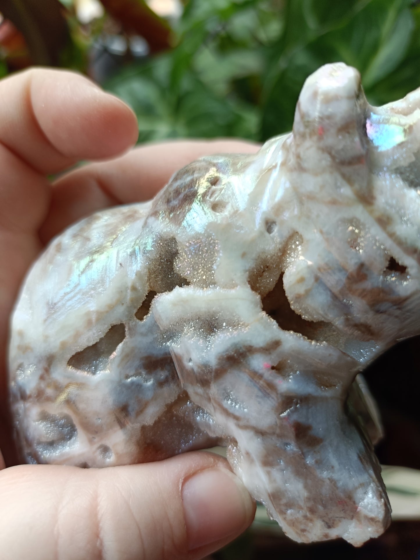 Aura Coated Brecciated Quartz Chalcedony Bear - 356g