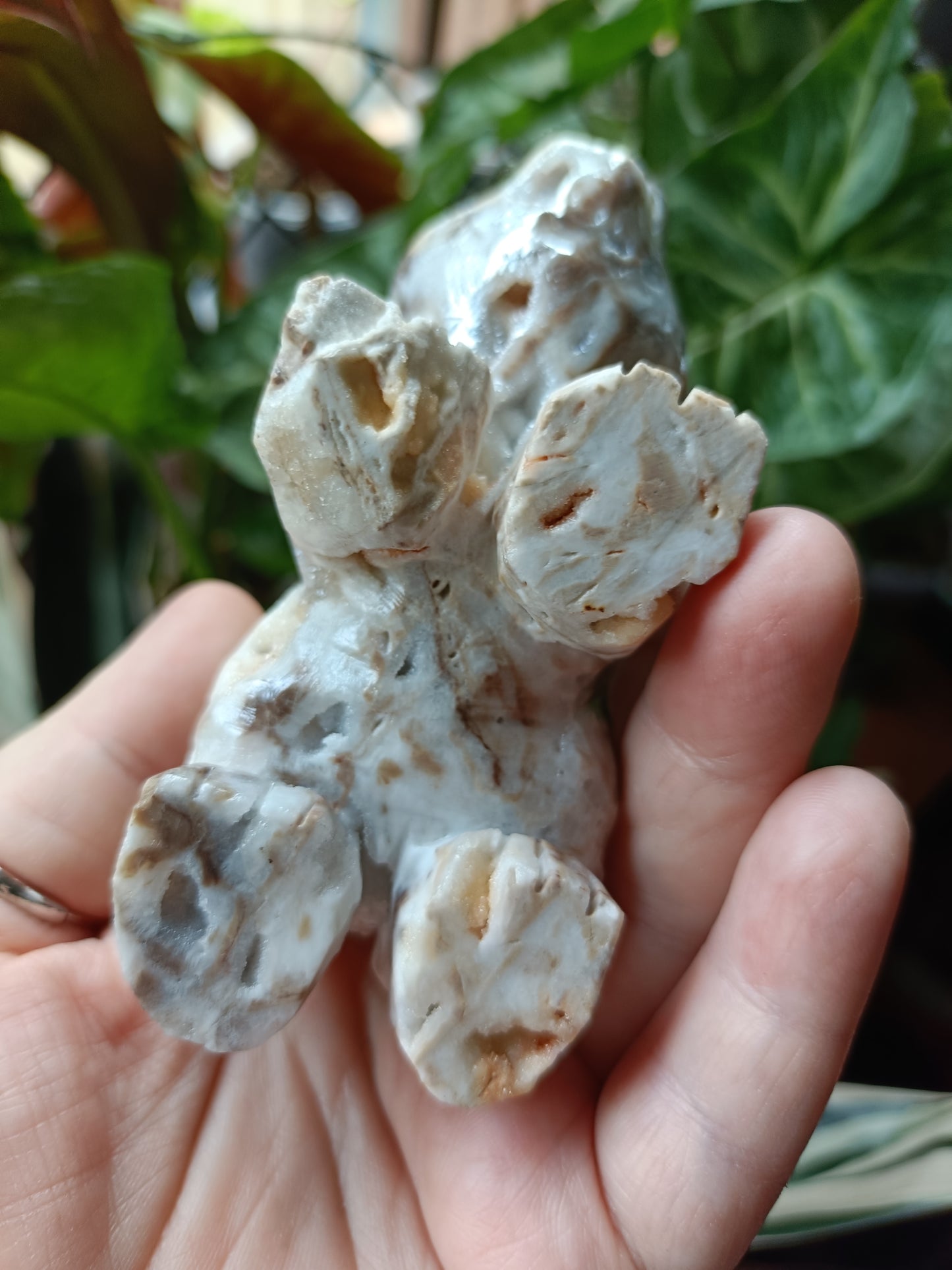 Aura Coated Brecciated Quartz Chalcedony Bear - 356g