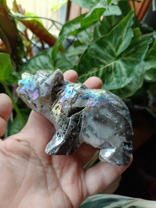 Aura Coated Brecciated Quartz Chalcedony Bear - 391g