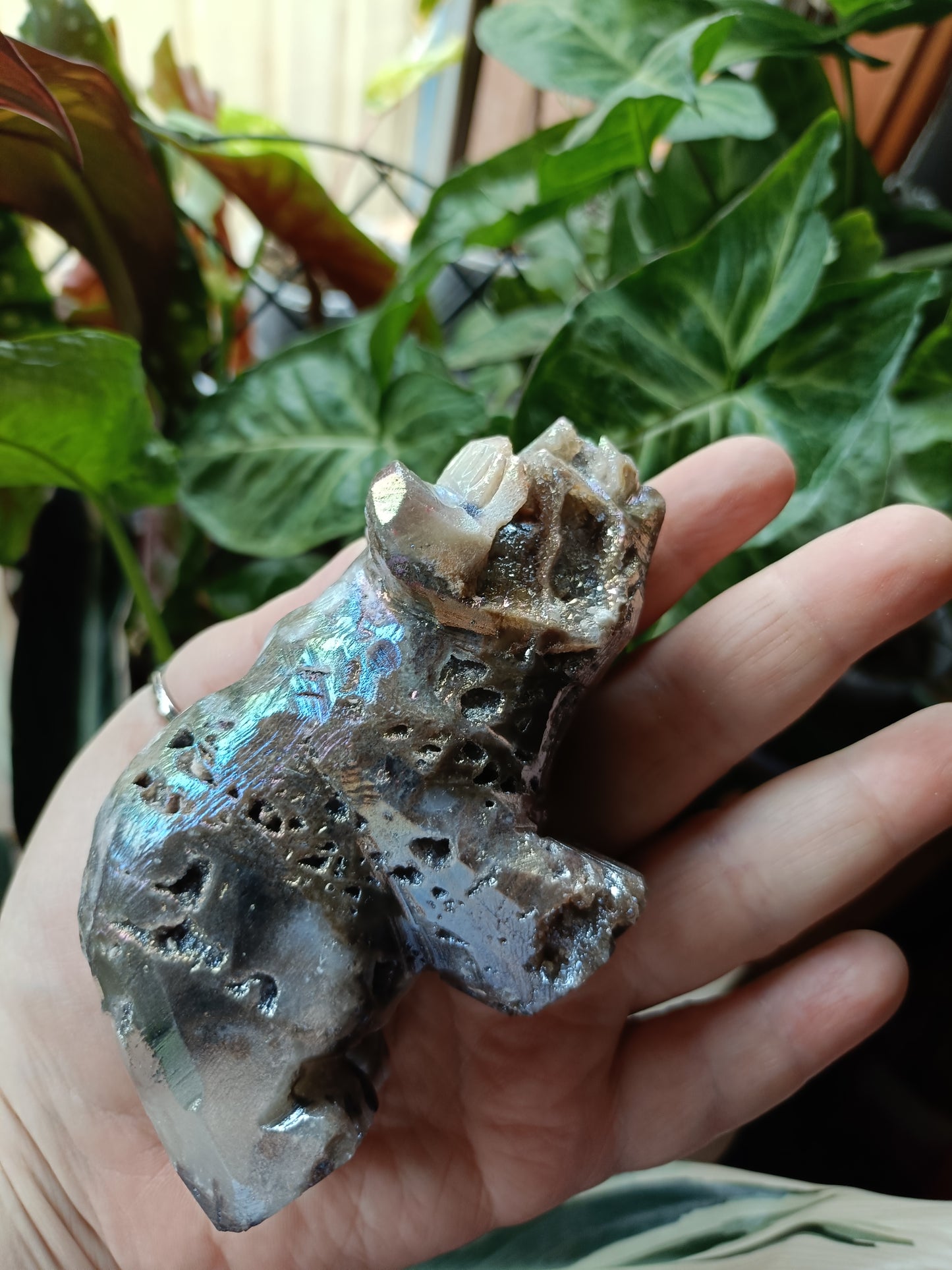 Aura Coated Brecciated Quartz Chalcedony Bear - 391g