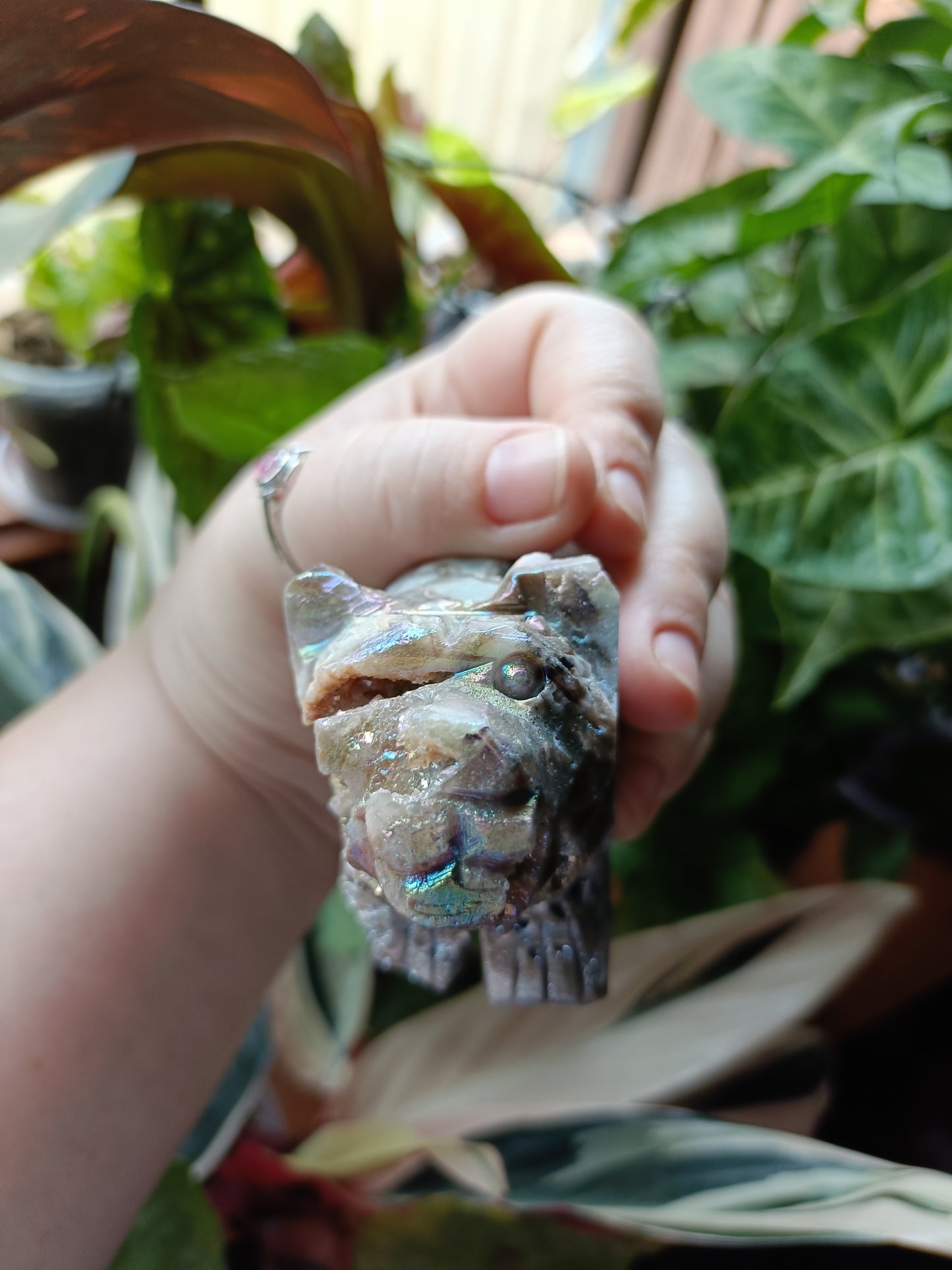 Aura Coated Brecciated Quartz Chalcedony Bear - 391g