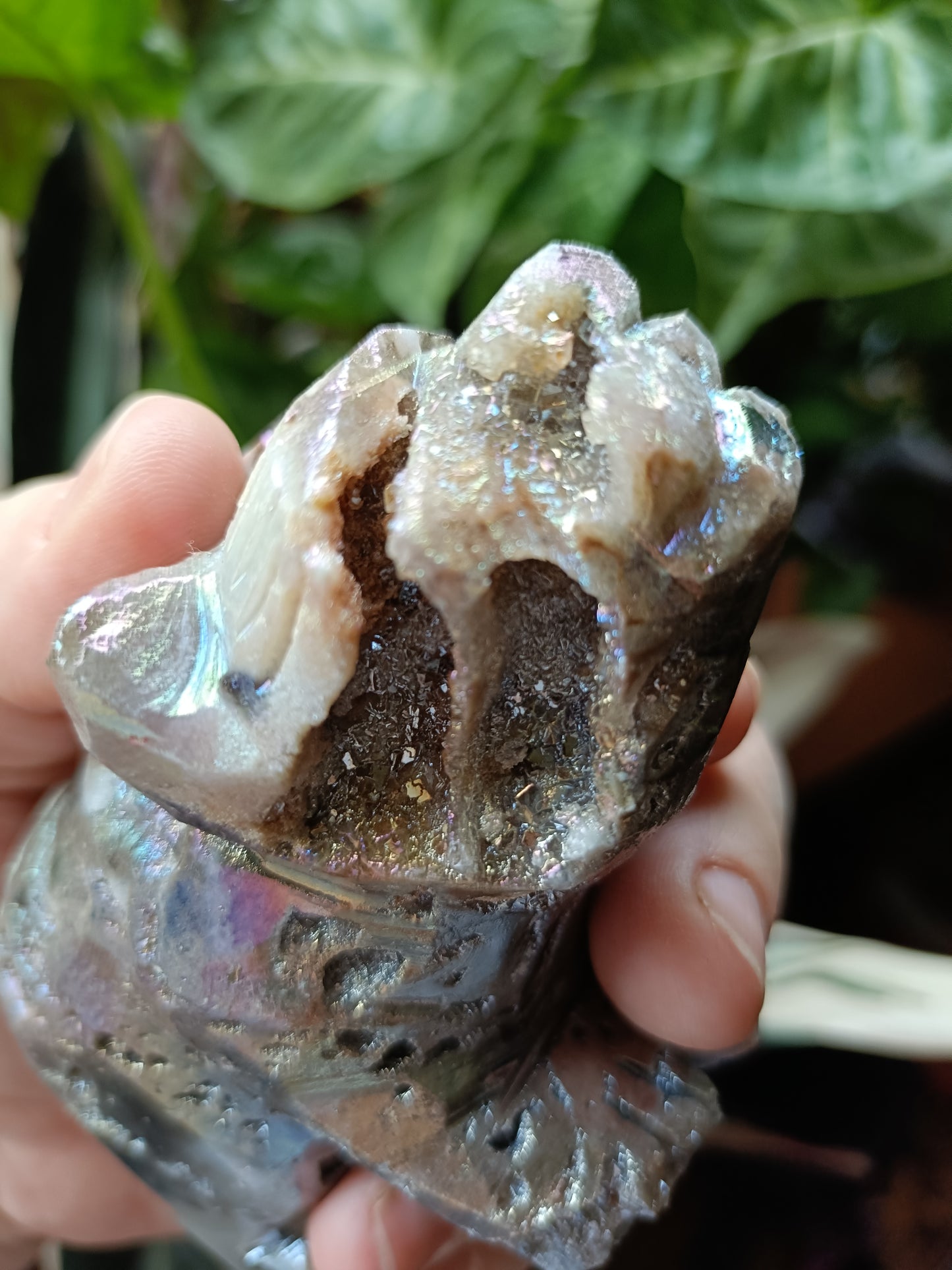 Aura Coated Brecciated Quartz Chalcedony Bear - 391g