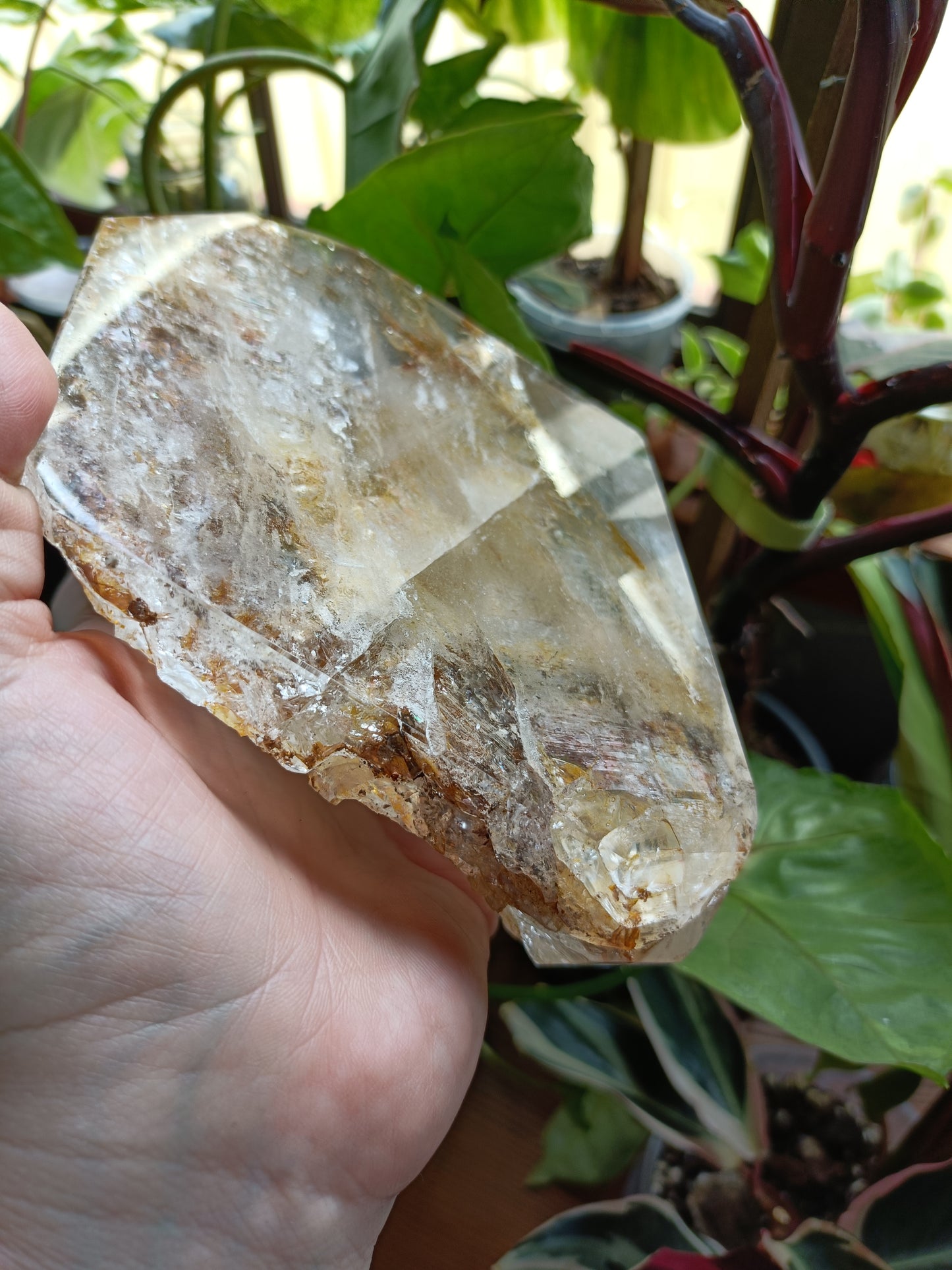 Golden Healer Face Polished Raw Specimen - 1485g
