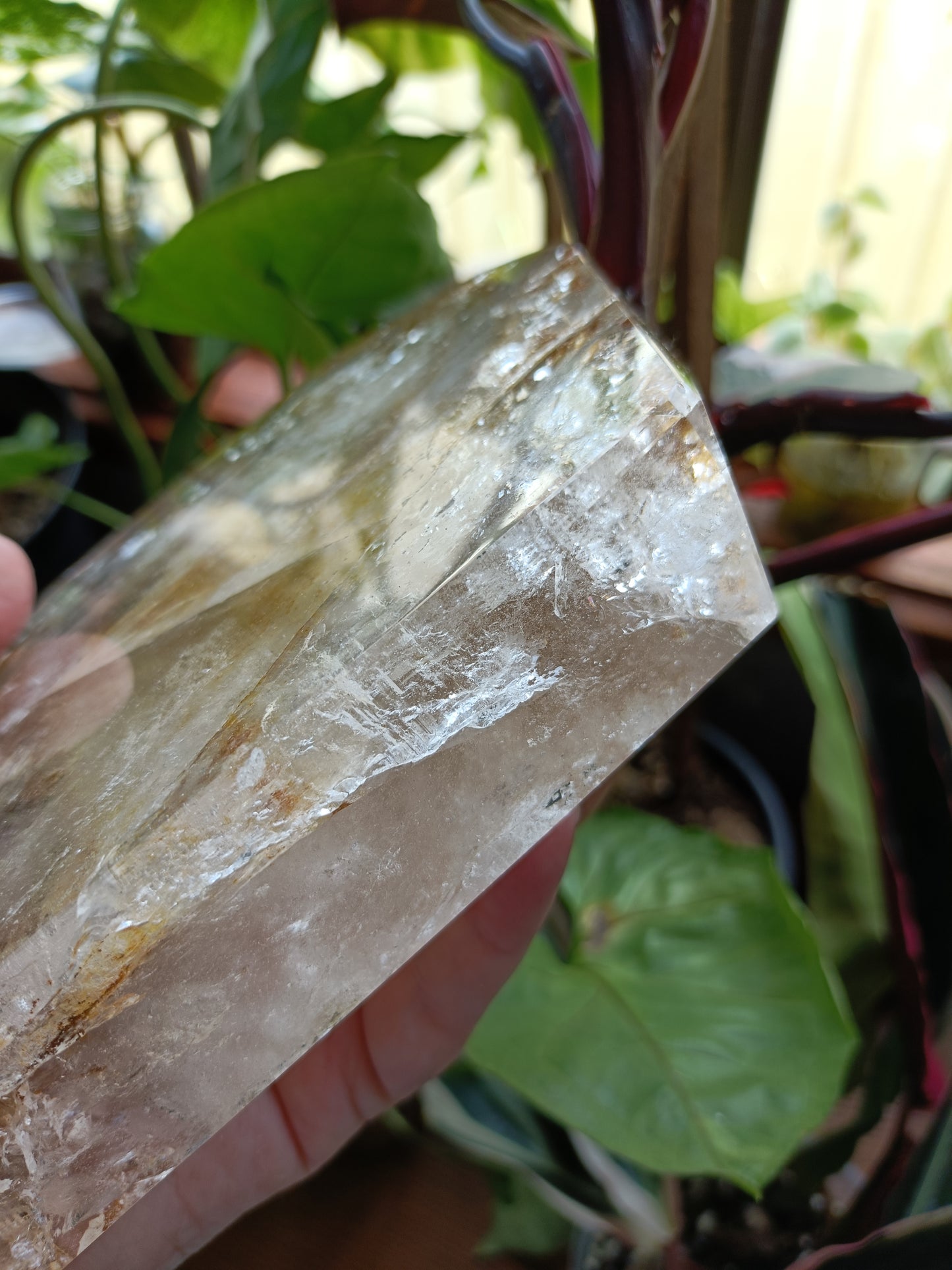 Golden Healer Face Polished Raw Specimen - 1485g