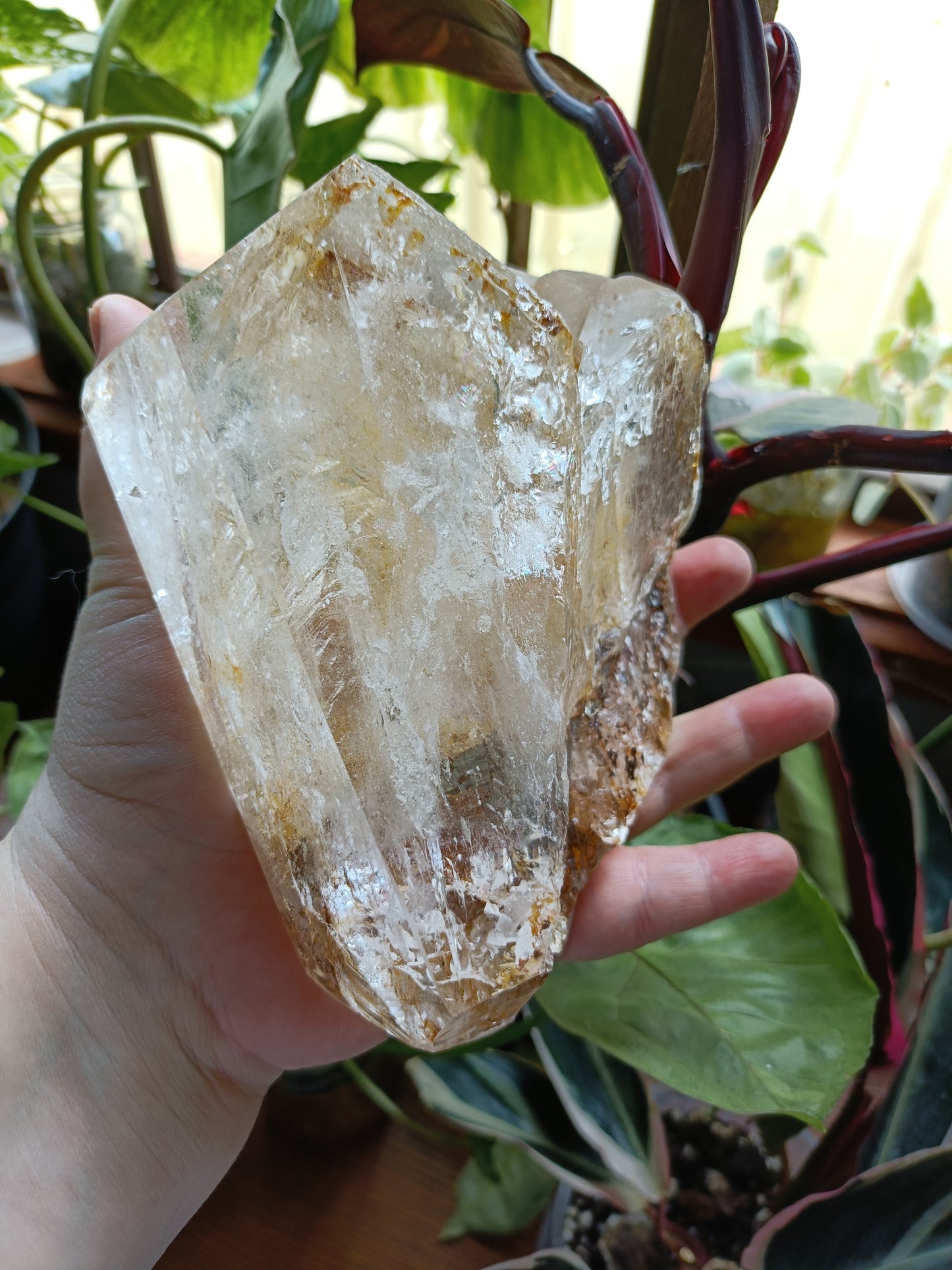 Golden Healer Face Polished Raw Specimen - 1485g