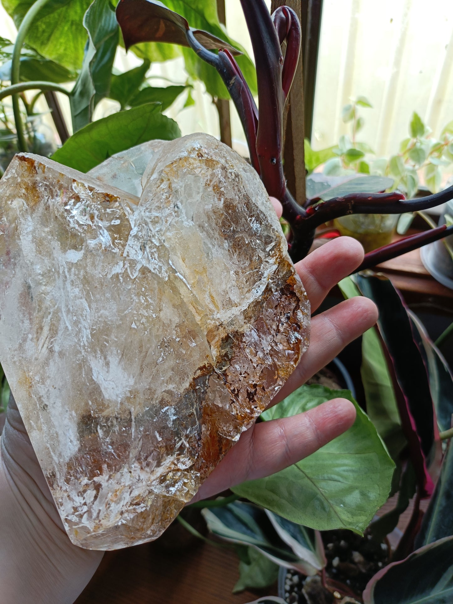 Golden Healer Face Polished Raw Specimen - 1485g