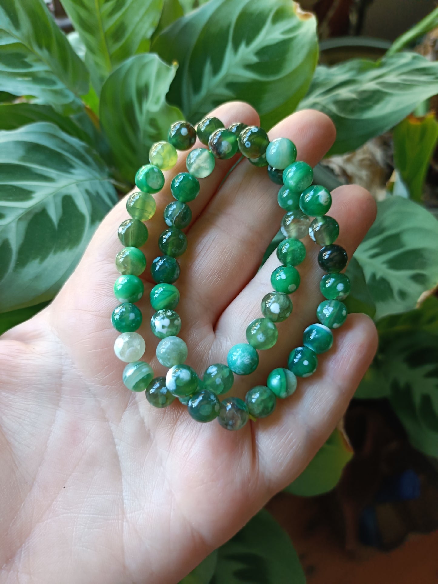 Green Orca Agate Beaded Stretch Bracelet - 8mm